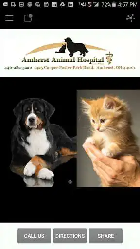 Play Amherst Animal Hospital