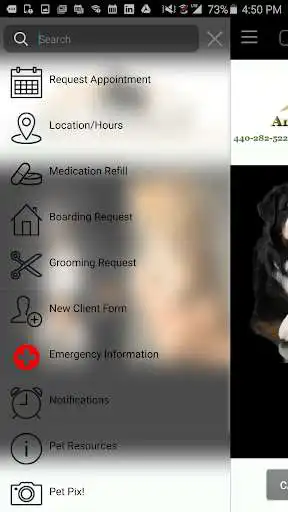 Play Amherst Animal Hospital