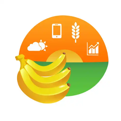 Play Amibanana APK