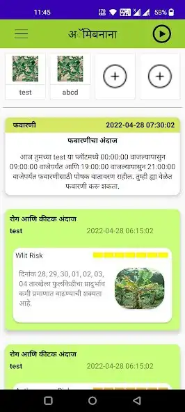 Play Amibanana  and enjoy Amibanana with UptoPlay