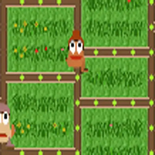 Free play online Amidroid APK