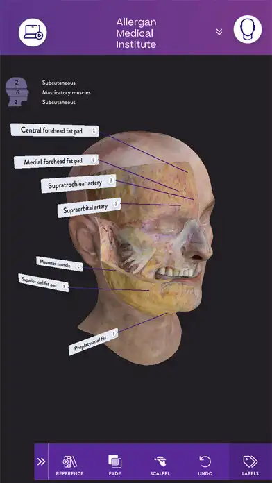 Play AMI Facial Anatomy and Cadaver  and enjoy AMI Facial Anatomy and Cadaver with UptoPlay