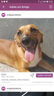 Play Amigos Protetores