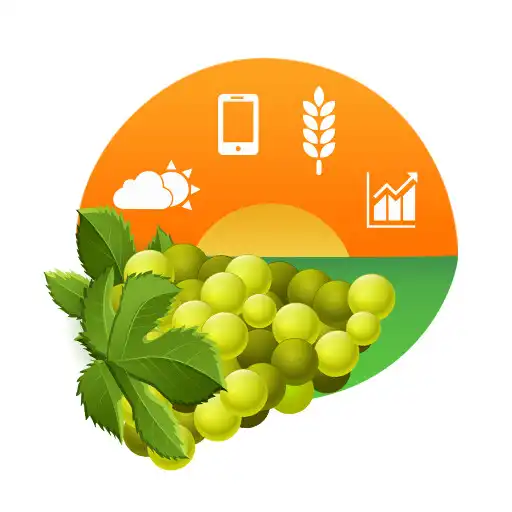 Play Amigrapes APK