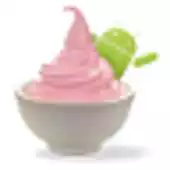 Free play online Am I running Froyo? APK