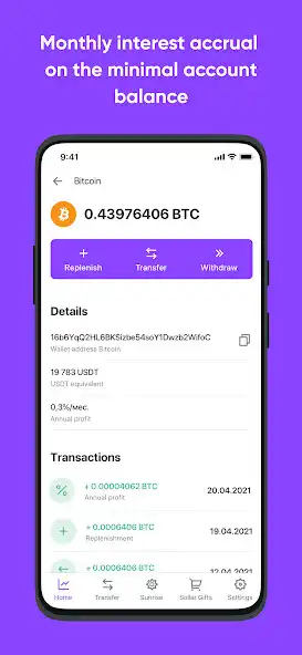 Play Amir Wallet as an online game Amir Wallet with UptoPlay