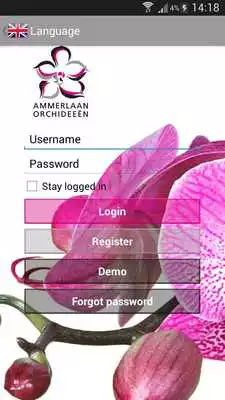 Play Ammerlaan Orchids