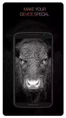 Play AMOLED 4K Wallpapers and Backgrounds