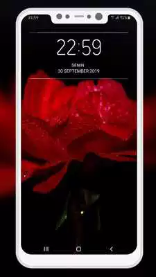 Play Amoled Wallpapers