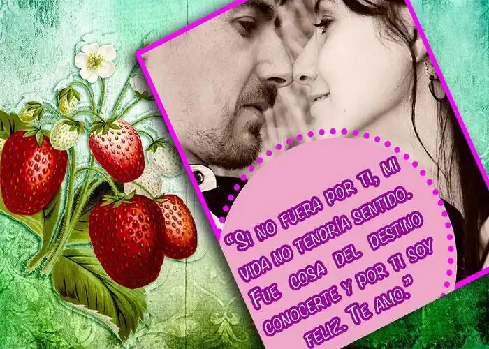 Play Amor mío, gracias por amarme  and enjoy Amor mío, gracias por amarme with UptoPlay