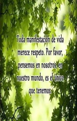 Play Amor por la naturaleza
