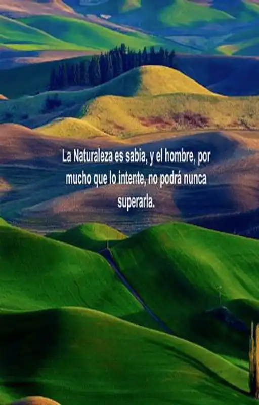 Play Amor por la naturaleza