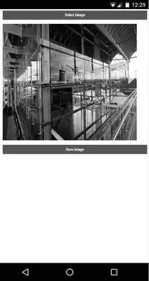 Play Ampare Grayscale Play Ampare Grayscale