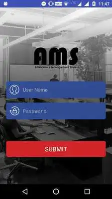 Play AMS
