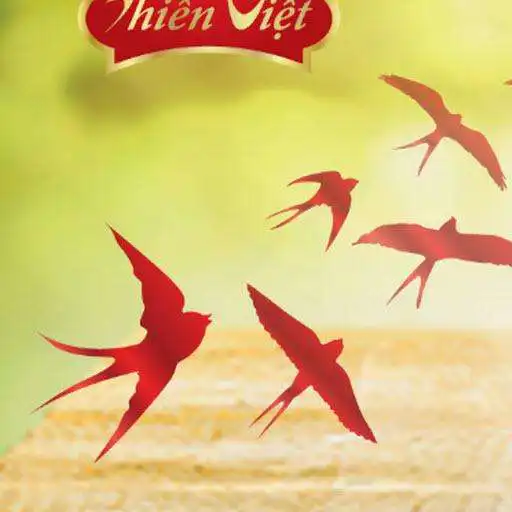 Run free android online AMS Yen Thien Viet APK