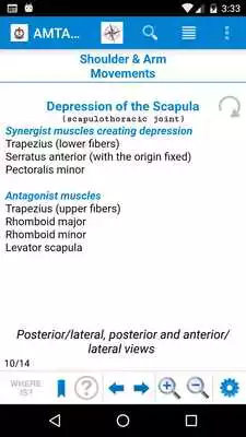 Play AMTA Anatomy