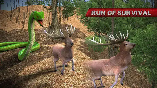 Play Anaconda Attack Simulator 3D as an online game online Anaconda Attack Simulator 3D with UptoPlay com.bleedingedge.anaconda.attack.sim Play Anaconda Attack Simulator 3D as an online game Anaconda Attack Simulator 3D with UptoPlay