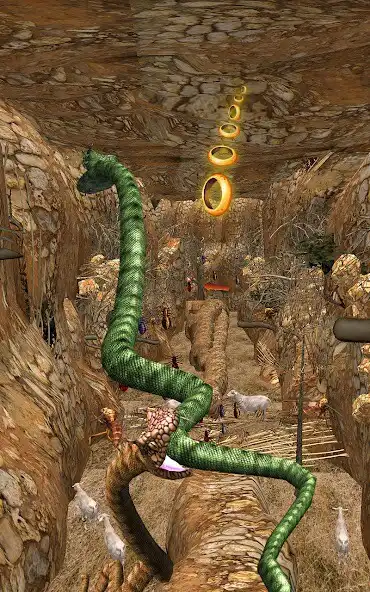 Play Anaconda Snake Jungle Run 3D  and enjoy Anaconda Snake Jungle Run 3D with UptoPlay
