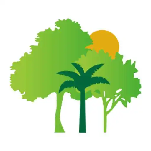 Play AnaliSAFs APK