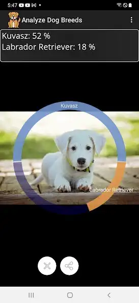 Play Analyze Dog Breeds  and enjoy Analyze Dog Breeds with UptoPlay