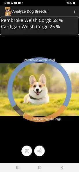Play Analyze Dog Breeds as an online game Analyze Dog Breeds with UptoPlay