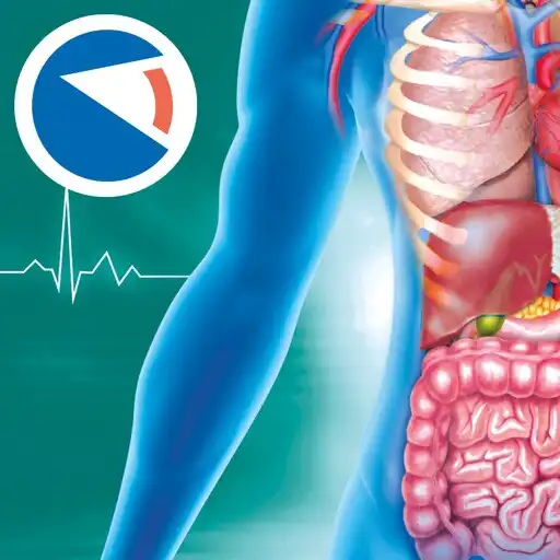 Play Anatomia Super APK Play Anatomia Super APK