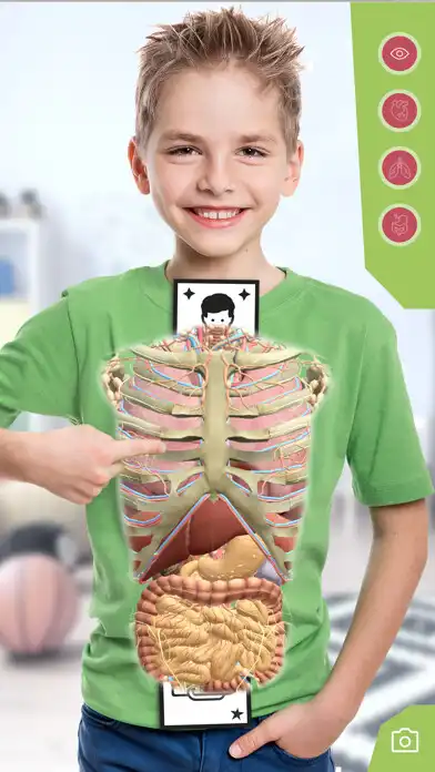 Play Anatomia Super  and enjoy Anatomia Super with UptoPlay
