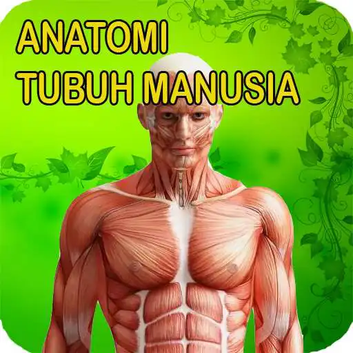Play Anatomi Lengkap APK