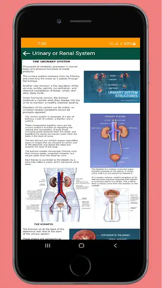 Play Anatomy and Physiology (Human)  and enjoy Anatomy and Physiology (Human) with UptoPlay