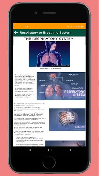 Play Anatomy and Physiology (Human) as an online game Anatomy and Physiology (Human) with UptoPlay