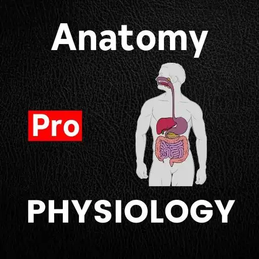 Free play online Anatomy And Physiology APK