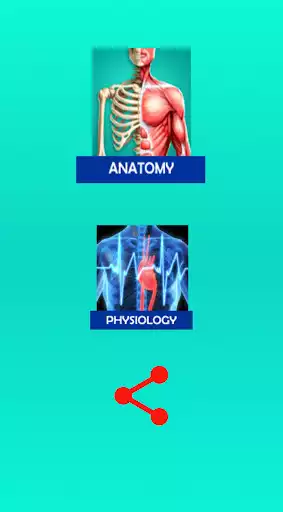 Play Anatomy and Physiology Notes as an online game Anatomy and Physiology Notes with UptoPlay