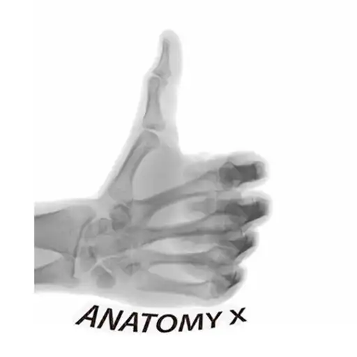 Anatomy and Radiographic Projections online game with UptoPlay