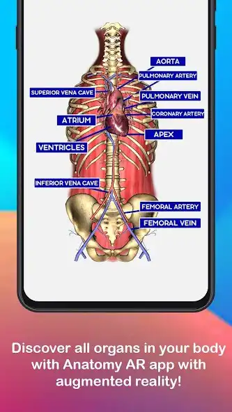 Play Anatomy AR 4D - Virtual TShirt  and enjoy Anatomy AR 4D - Virtual TShirt with UptoPlay