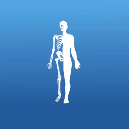 Play Anatomy AR+ APK Play Anatomy AR+ APK