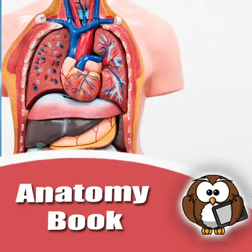 Play Anatomy Book Offline APK Play Anatomy Book Offline APK