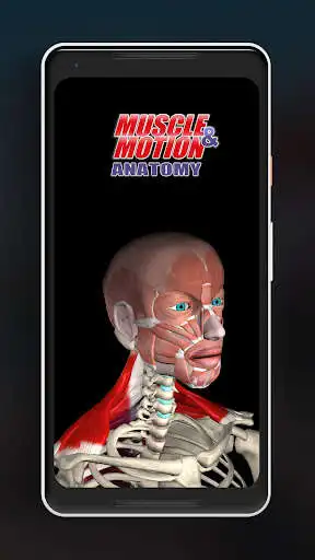 Play Anatomy by Muscle  Motion  and enjoy Anatomy by Muscle  Motion with UptoPlay