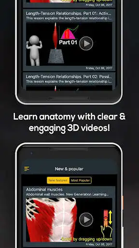Play Anatomy by Muscle  Motion as an online game Anatomy by Muscle  Motion with UptoPlay