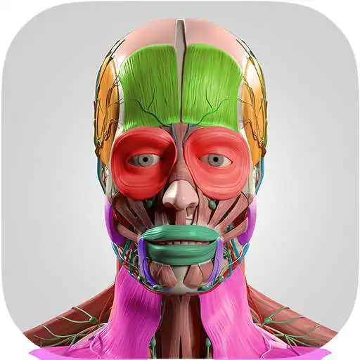Play Anatomy Cards Anatomicus APK Play Anatomy Cards Anatomicus APK