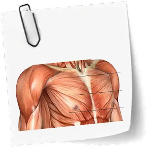 Play Anatomy course APK