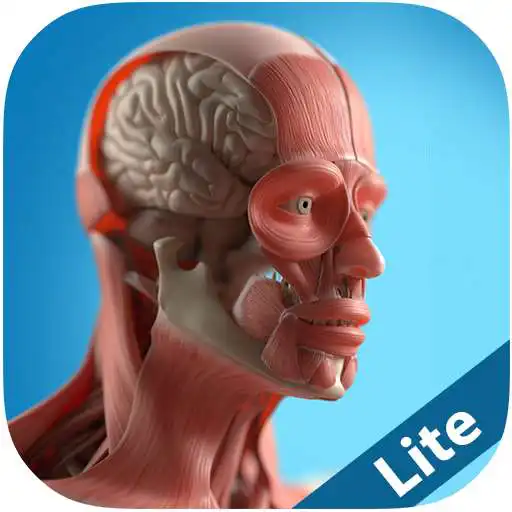 Run free android online Anatomy Game Anatomicus Lite APK Run free android online Anatomy Game Anatomicus Lite APK