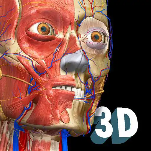 Free play online Anatomy Learning - 3D Anatomy Atlas  APK