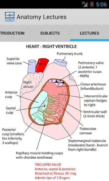 Play Anatomy Lectures  and enjoy Anatomy Lectures with UptoPlay