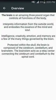 Play Anatomy Of The Human Brain