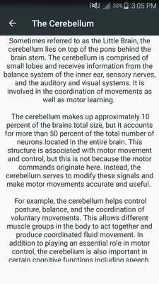 Play Anatomy Of The Human Brain