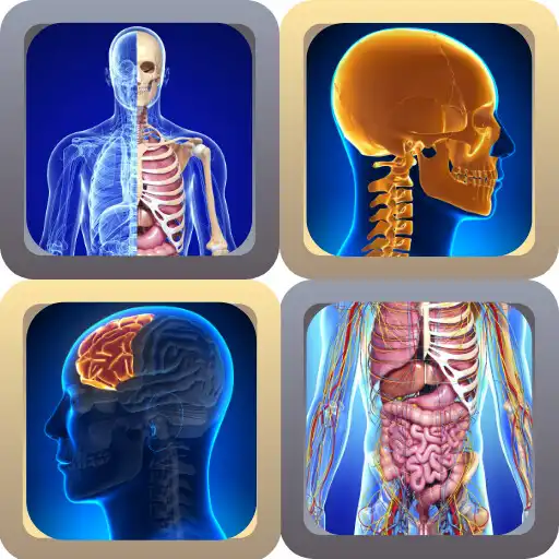 Play Anatomy Quiz Game Learning App APK