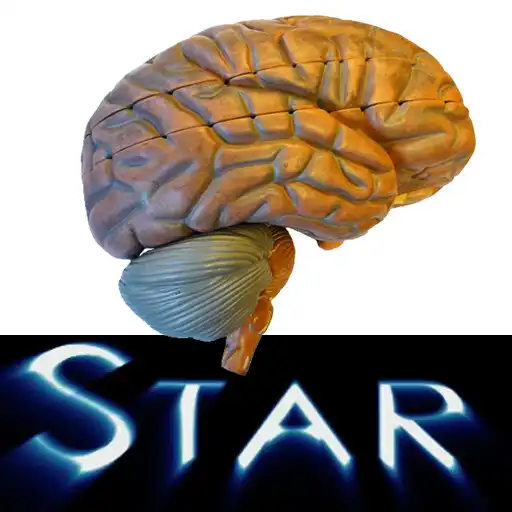 Play Anatomy Star - CNS (the Brain) APK