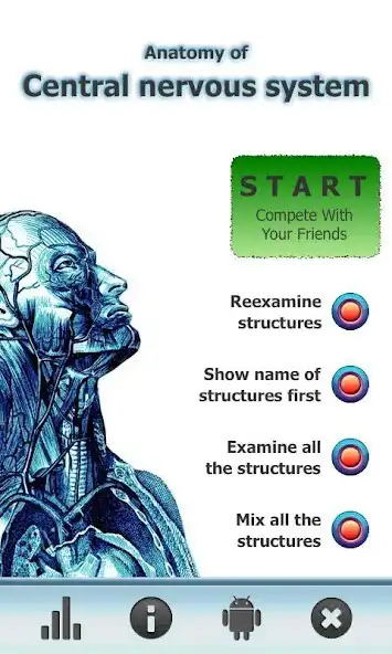 Play Anatomy Star - CNS (the Brain) and enjoy Anatomy Star - CNS (the Brain) with UptoPlay Play Anatomy Star - CNS (the Brain) and enjoy Anatomy Star - CNS (the Brain) with UptoPlay