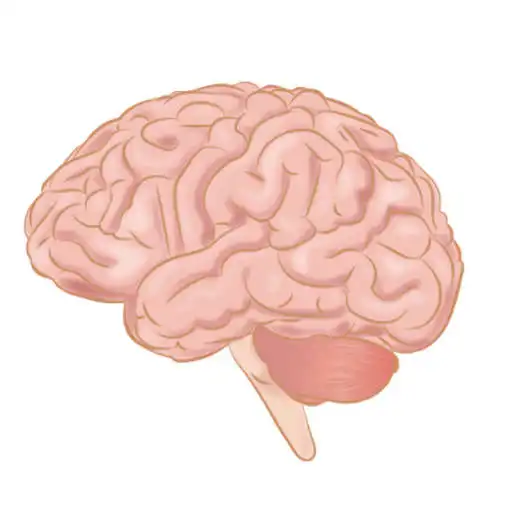 Play Anatomy Tests APK Play Anatomy Tests APK