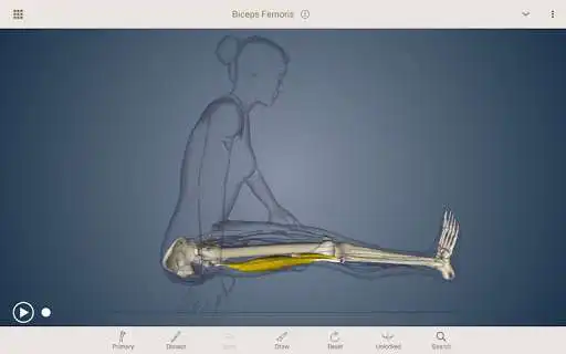 Play AnatomyU and enjoy AnatomyU with UptoPlay Play AnatomyU and enjoy AnatomyU with UptoPlay